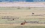 Zambia_145