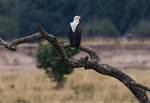 Zambia_146