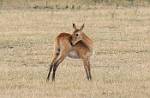 Zambia_149