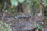 Zambia_158