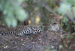 Zambia_159