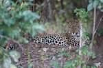 Zambia_160