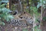 Zambia_161