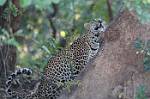 Zambia_163