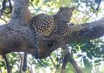 Zambia_165
