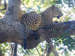 Zambia_166