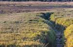Zambia_167