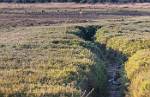 Zambia_168