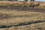 Zambia_170
