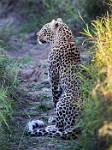 Zambia_171