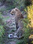 Zambia_172