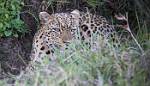 Zambia_173