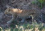 Zambia_174