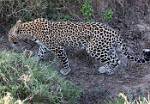 Zambia_175