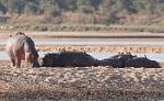 Zambia_176