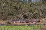 Zambia_177