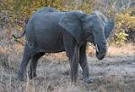 Zambia_178