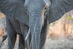 Zambia_180