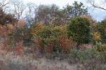 Zambia_184