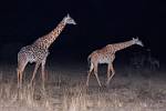 Zambia_190