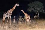 Zambia_191