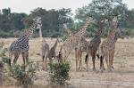 Zambia_199