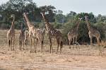 Zambia_201