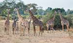 Zambia_204