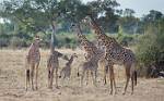 Zambia_205
