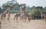 Zambia_206