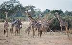 Zambia_207