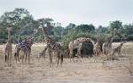Zambia_208