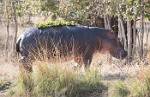Zambia_219