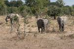 Zambia_221