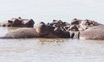 Zambia_230