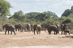 Zambia_231