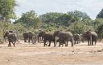 Zambia_232