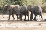 Zambia_233
