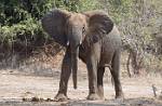 Zambia_236