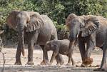 Zambia_238