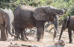 Zambia_242