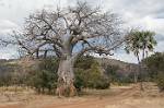 Zambia_254
