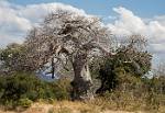 Zambia_256