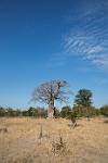 Zambia_257