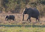 Zambia_265