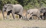Zambia_283