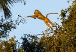 Zambia_324