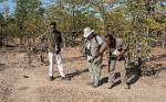 Zambia_330