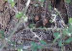Zambia_338