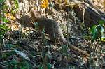 Zambia_342
